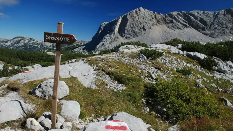 Marked Walking Paths – Safe Access Routes(3)