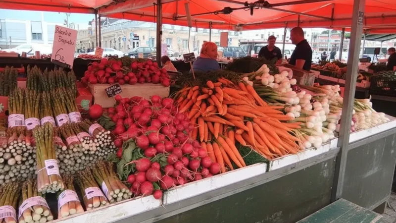 Market Square(4)