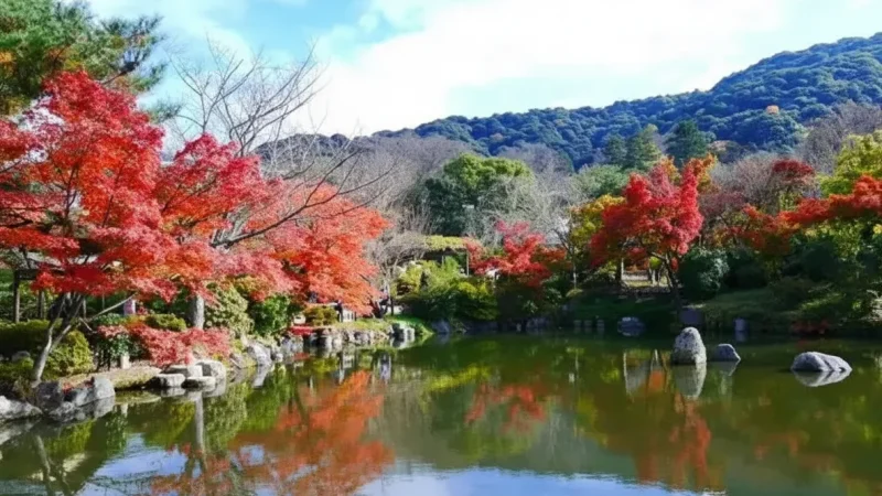 Maruyama Park(2)