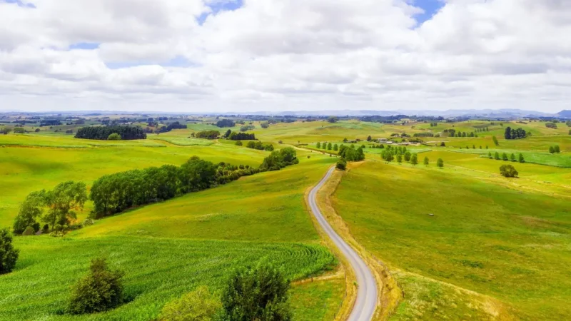 Matamata_Scenic_Drives_06
