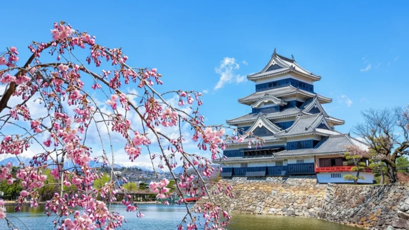 Matsumoto Castle (Crow Castle)(6)