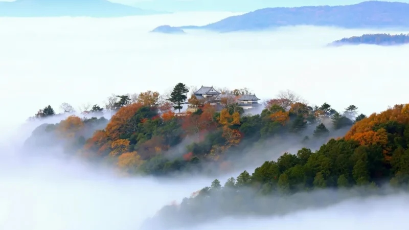 Matsuyama Castle (松山城)(2)