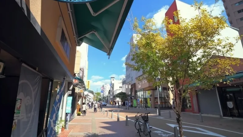 Matsuyama Ropeway Shopping Street(2)