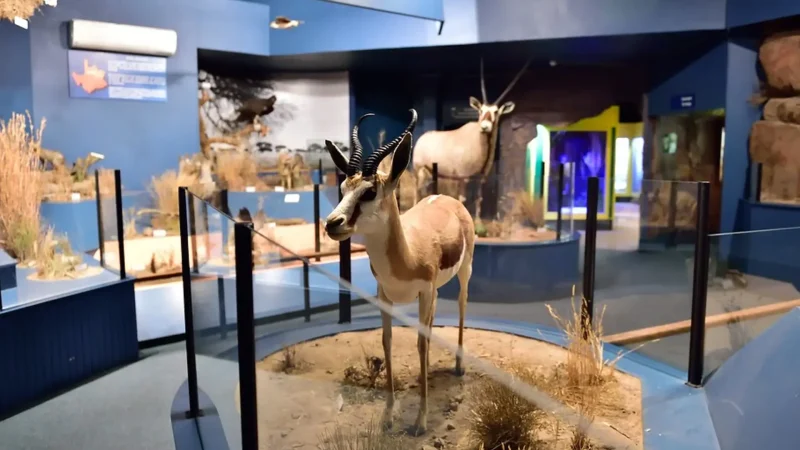 McGregor_Museum_тАУ_Regional_history_and_culture_01
