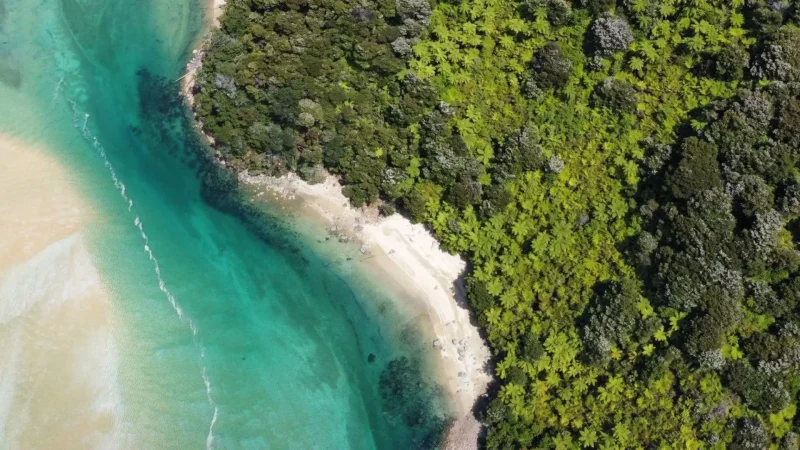 Medlands_Beach_тАУ_Kayaking_&_Swimming_01