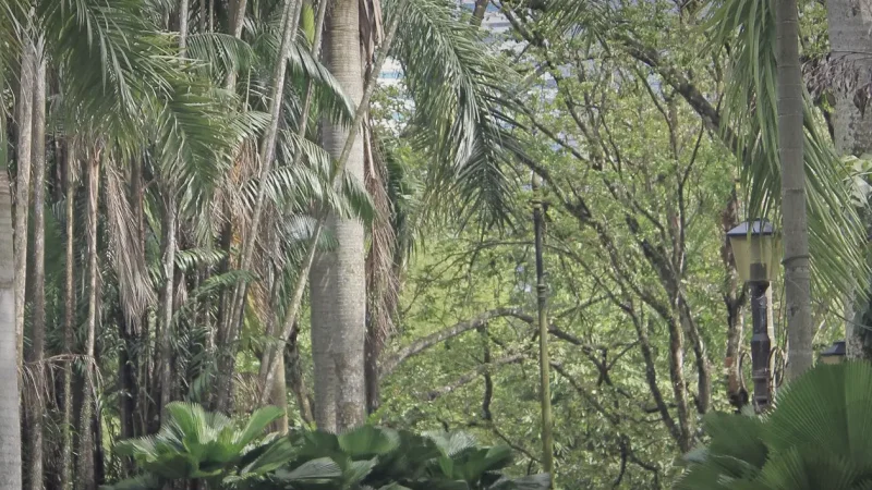 Melaka Botanical Gardens(3)