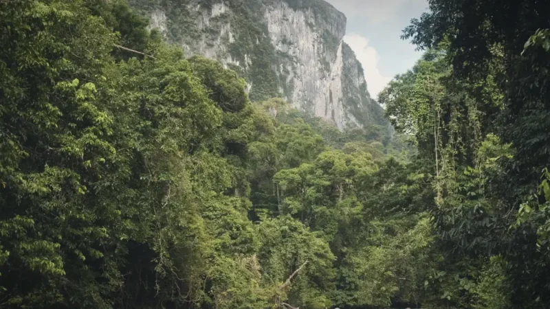 Melinau Gorge(4)