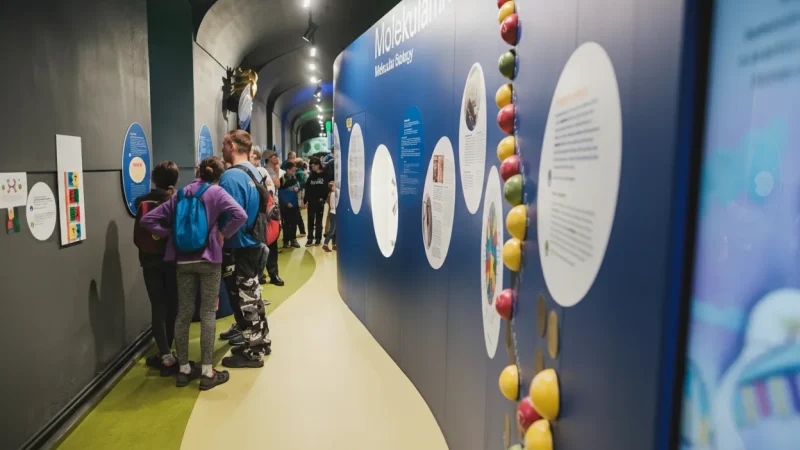 Mendel Museum – Science and heritage site(1)