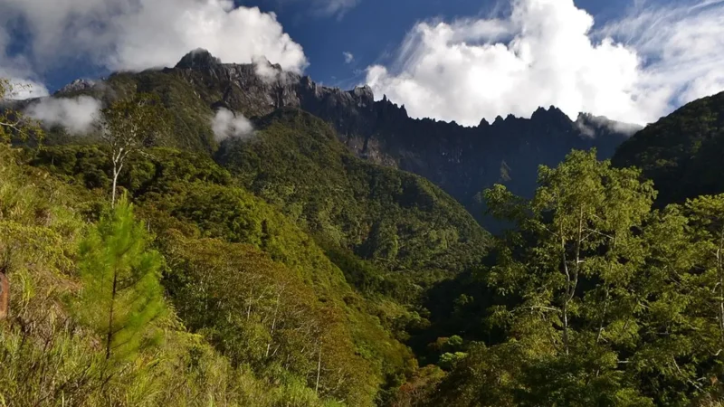 Mesilau_Nature_Trail_03
