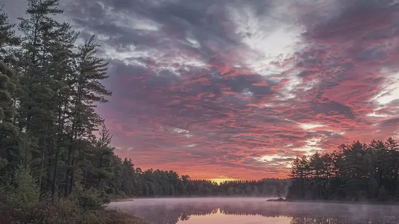 Mew Lake – Quiet views(2)