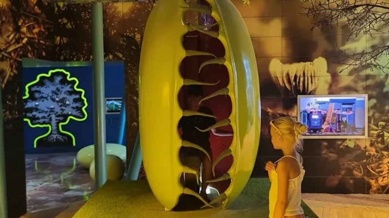 Micropolis Insect Museum – Nature attraction(4)