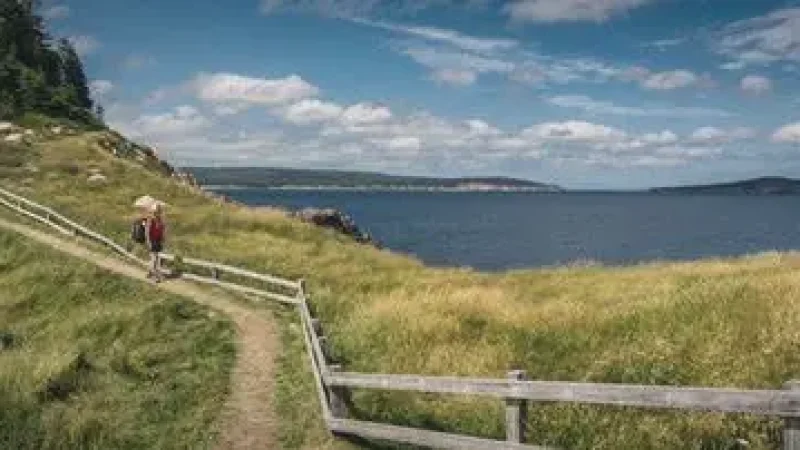 Middle Head Trail – Coastal hike(5)