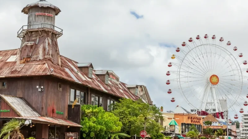 Mihama Ferris Wheel(1)