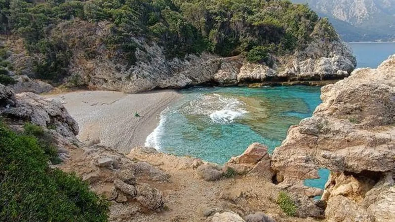 Mikro_Seitani_02