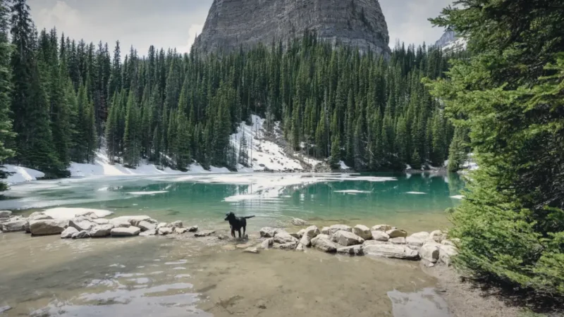 Mirror Lake(4)