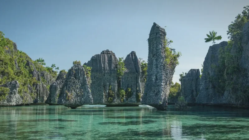 Misool Island – Coral reefs & lagoons(6)
