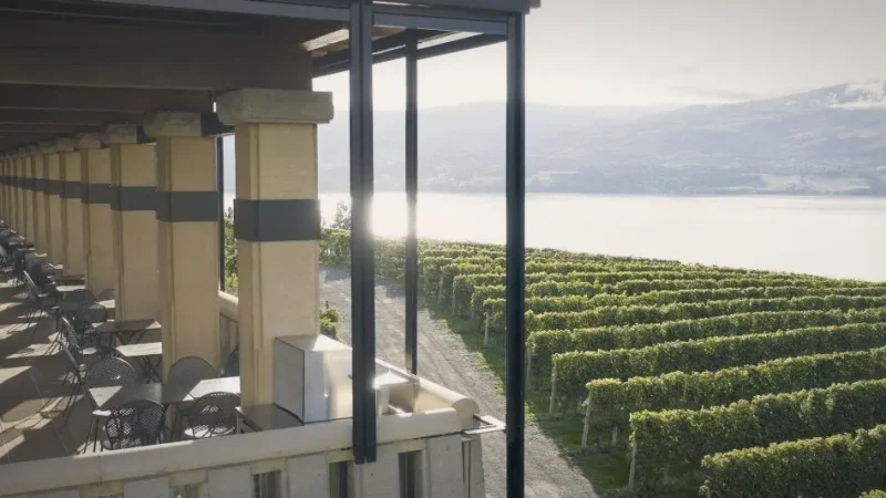 Mission Hill Winery(3)