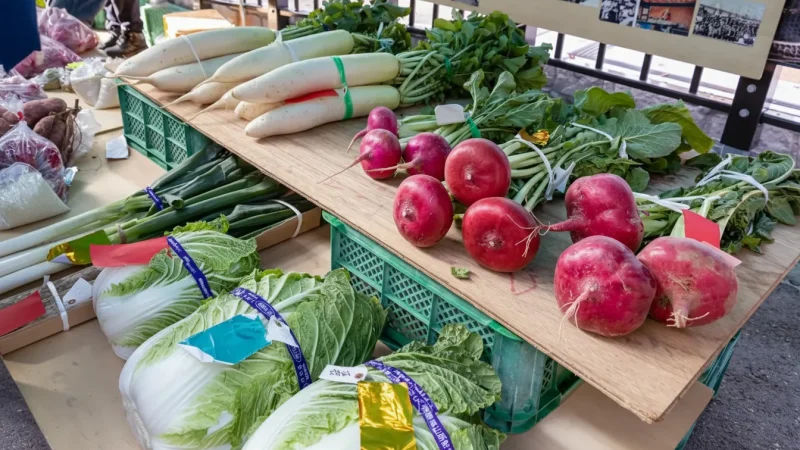 Miyagawa Morning Market(1)