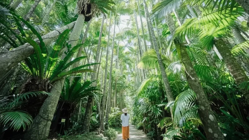 Miyakojima City Tropical Plant Garden(4)
