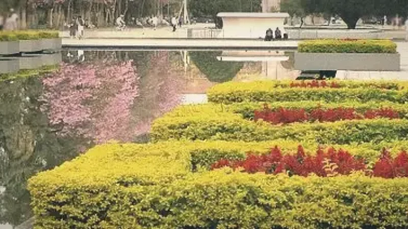 Moinhos de Vento Park – Urban park(6)