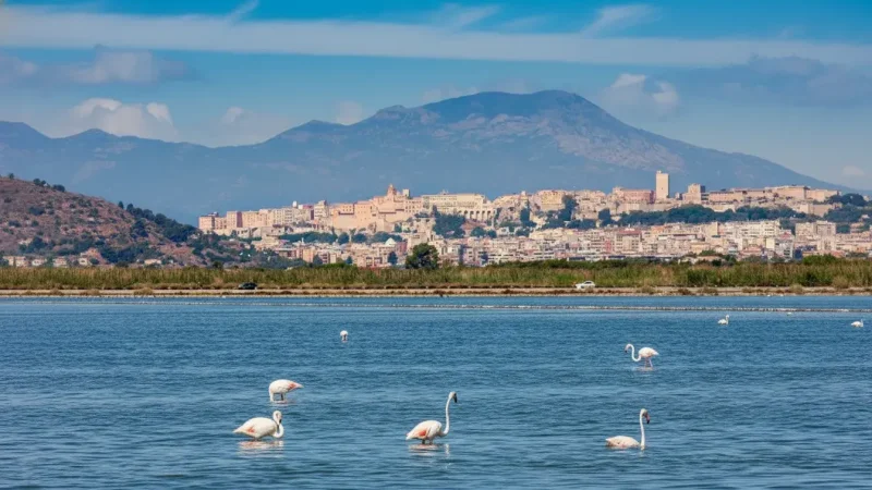 Molentargius–Saline Regional Park(6)