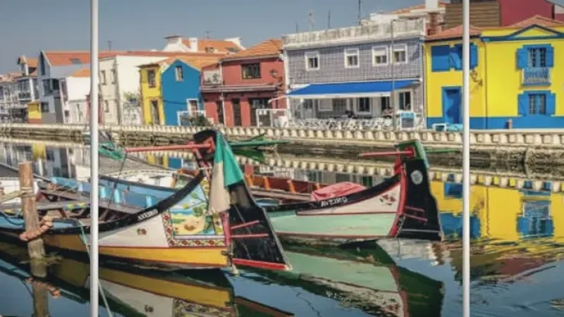 Moliceiro Boats – Traditional colorful canal boats(2)