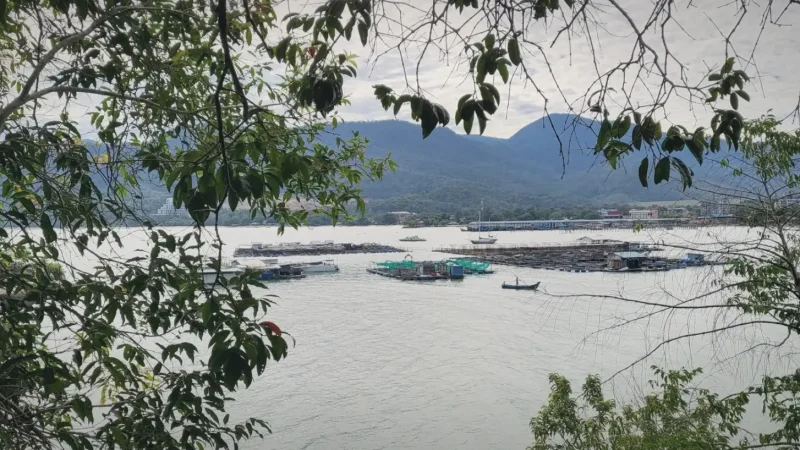Monkey Beach Penang(5)