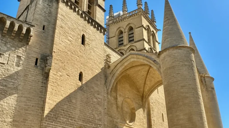 Montpellier Cathedral – Hérault, France(1)
