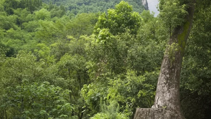 Moon Hill – Natural rock arch(6)