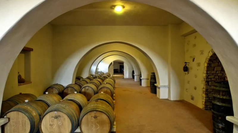 Moraitis_Winery_06