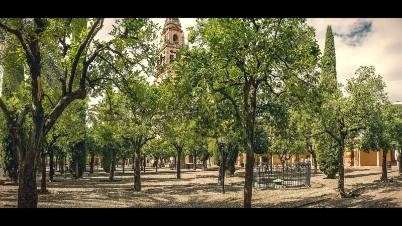 Mosque–Cathedral of Córdoba(3)