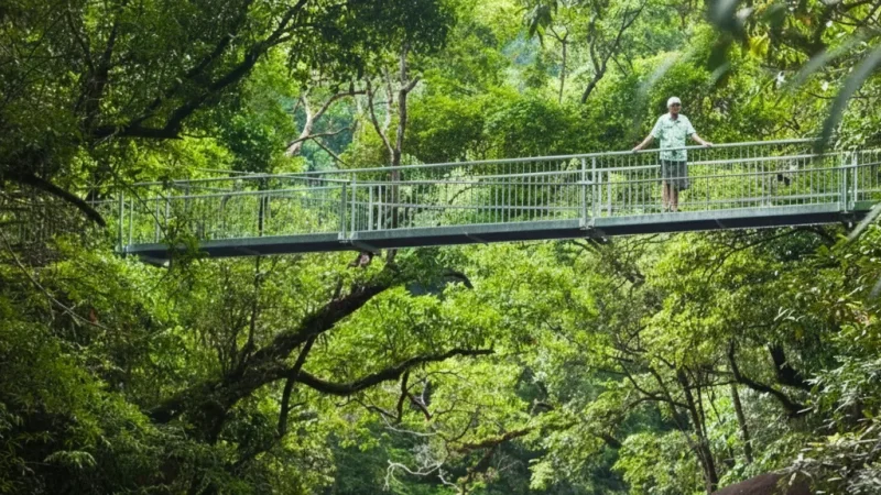Mossman Gorge – Freshwater pools and walking trails(4)