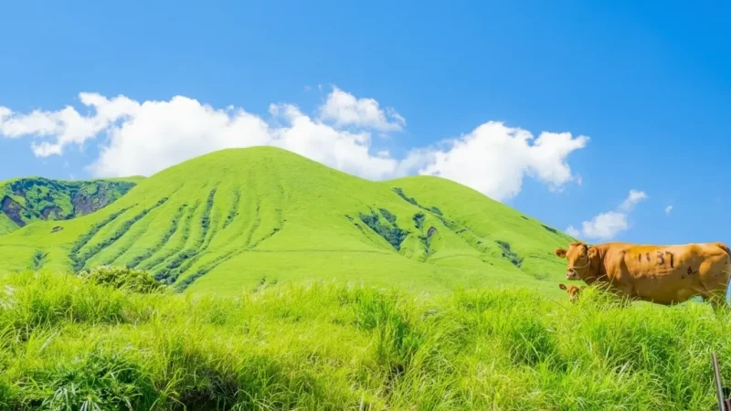 Mount Aso(6)