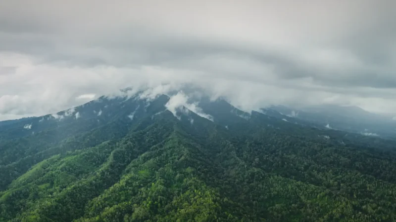Mount Batukaru Hiking Trail(4)