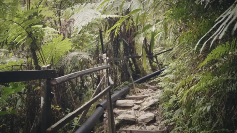 Mount Kinabalu (Borneo’s highest peak)(5)