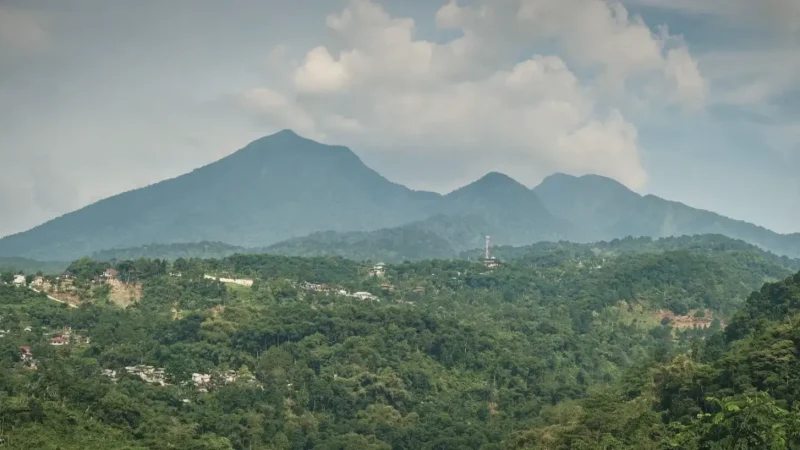 Mount Salak National Park(2)
