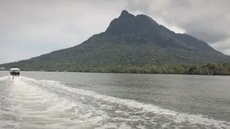 Mount Santubong Nature Trails(5)