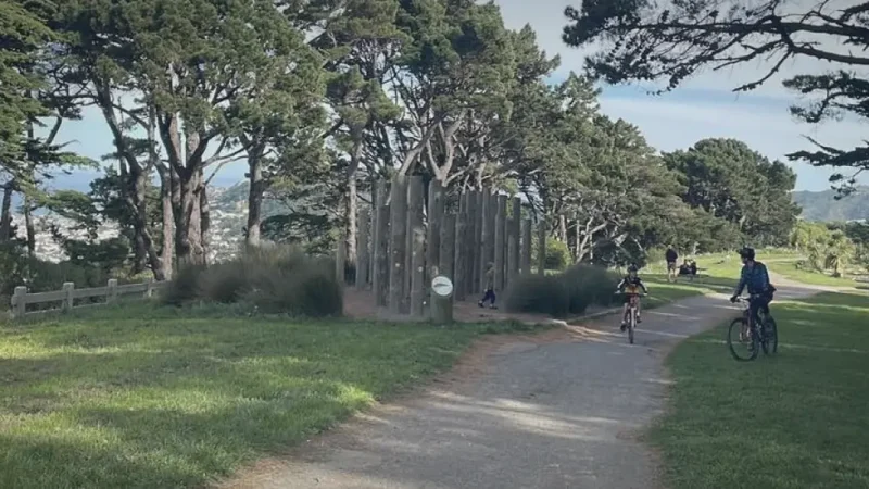 Mount Victoria Summit Walk – Track to the Top(4)