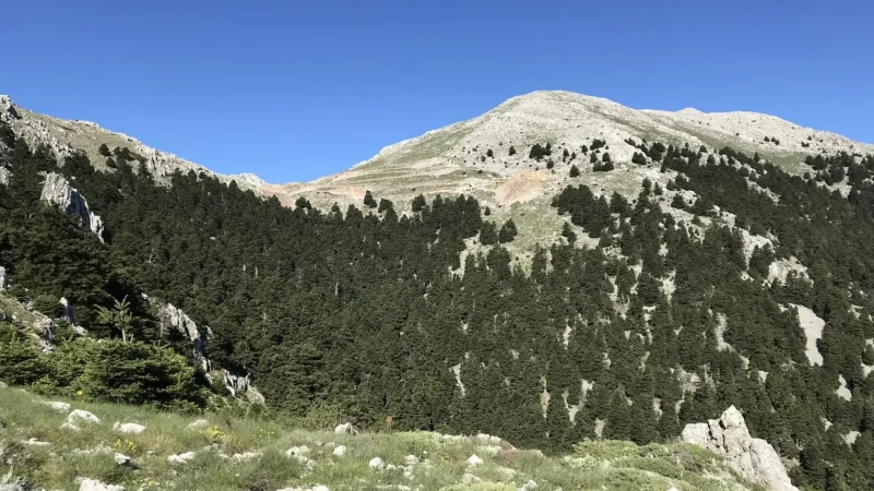Mount_Helicon_01