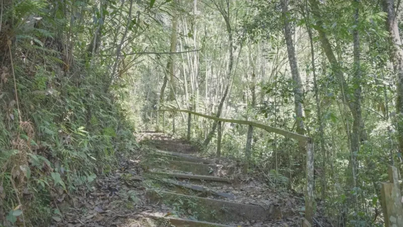 Mountain Garden(3)