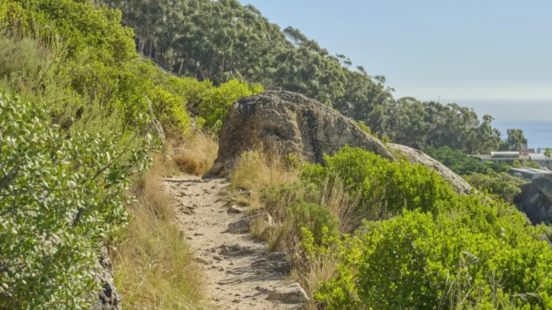 Mountain_Hiking_Trails_тАУ_Short_scenic_hikes_04