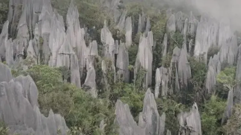 Mulu Summit Trail(4)