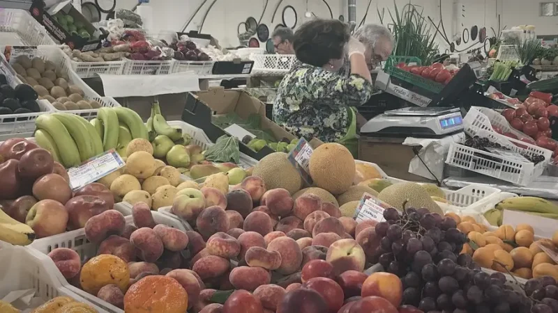 Municipal Market of Tavira(3)