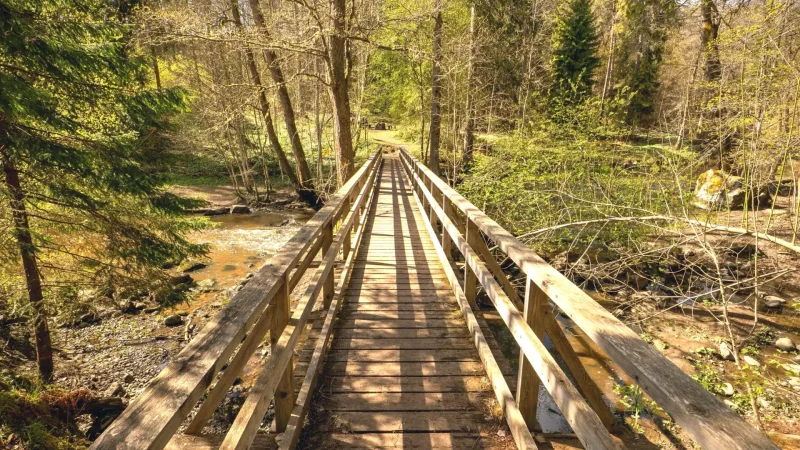 Munksundet Walkway – Riverside Walk(5)