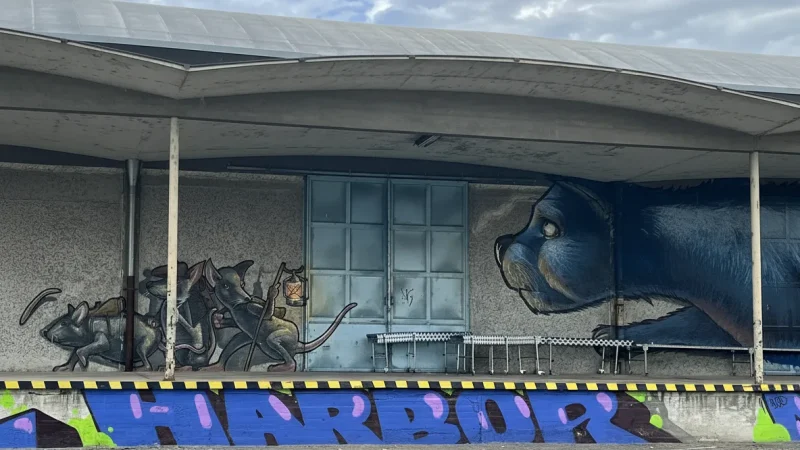 Mural Harbor – Street Art Along the Harbor(3)