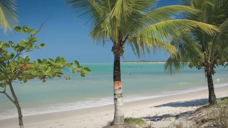 Mutá Beach – calm clear water(1)