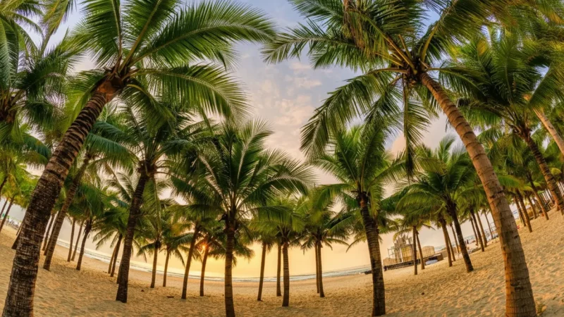 My Khe Beach – Famous soft white sand beach(3)