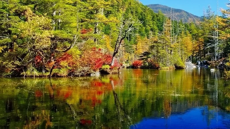 Myojin Pond (Hotaka Shrine area)(5)