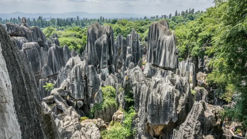 Naigu Stone Forest – Less crowded scenic zone(5)