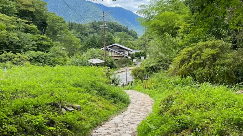 Nakasendo Trail (Forest hiking path)(3)